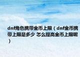 dnf角色携带金币上限（dnf金币携带上限是多少 怎么提高金币上限呢）