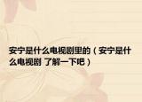 安宁是什么电视剧里的（安宁是什么电视剧 了解一下吧）