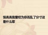 情真真我曾经为你而乱了分寸这是什么歌