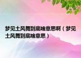 梦见土风舞到底啥意思啊（梦见土风舞到底啥意思）
