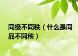 同级不同秩（什么是同品不同秩）