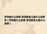 梦到鱼什么意思 梦到抓鱼又是什么意思呀（梦到鱼什么意思 梦到抓鱼又是什么意思）