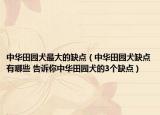 中华田园犬最大的缺点（中华田园犬缺点有哪些 告诉你中华田园犬的3个缺点）