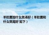 羊肚菌加什么煲汤好（羊肚菌和什么煲湯好 如下）