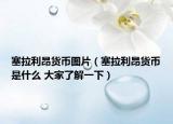 塞拉利昂货币图片（塞拉利昂货币是什么 大家了解一下）