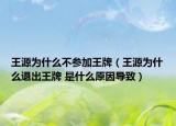 王源为什么不参加王牌（王源为什么退出王牌 是什么原因导致）