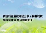 软植料养兰花经验分享（种兰花软植料是什么 快来看看吧）