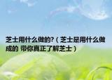 芝士用什么做的?（芝士是用什么做成的 带你真正了解芝士）