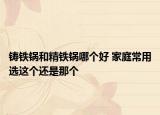 铸铁锅和精铁锅哪个好 家庭常用选这个还是那个