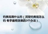 钓黄尾用什么钓（河里钓黄尾怎么钓 老手最有效果的3个办法）
