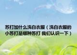 苏打加什么洗白衣服（洗白衣服的小苏打是哪种苏打 我们认识一下）