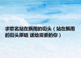 求歌名站在飘雨的街头（站在飘雨的街头原唱 送给需要的你）