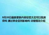 9月20日最新更新内容征信太花可以批房贷吗 通过率会受到影响吗 详细情况介绍