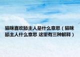 猫咪喜欢舔主人是什么意思（猫咪舔主人什么意思 这里有三种解释）