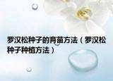 罗汉松种子的育苗方法（罗汉松种子种植方法）