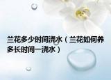 兰花多少时间浇水（兰花如何养多长时间一浇水）
