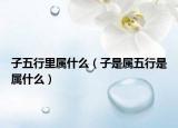 子五行里属什么（子是属五行是属什么）