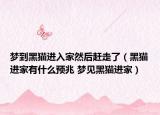 梦到黑猫进入家然后赶走了（黑猫进家有什么预兆 梦见黑猫进家）