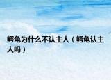 鳄龟为什么不认主人（鳄龟认主人吗）