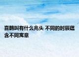 喜鹊叫有什么兆头 不同的时辰蕴含不同寓意