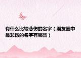 有什么比较悲伤的名字（朋友圈中最悲伤的名字有哪些）