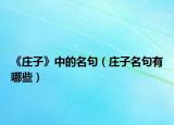 《庄子》中的名句（庄子名句有哪些）