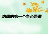 唐朝的第一个皇帝是谁