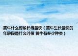 黄牛什么时候长得最快（黄牛生长最快的年龄段是什么时候 黄牛有多少种类）