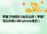 苹果7升级到13会怎么样（苹果7可以升级13吗 iphone常识）