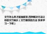 文竹怎么养才能抽新芽,四种解决方法让你的文竹疯长（文竹爆芽的方法 快来学习一下吧）