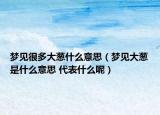梦见很多大葱什么意思（梦见大葱是什么意思 代表什么呢）