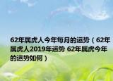 62年属虎人今年每月的运势（62年属虎人2019年运势 62年属虎今年的运势如何）