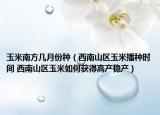 玉米南方几月份种（西南山区玉米播种时间 西南山区玉米如何获得高产稳产）