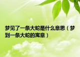 梦见了一条大蛇是什么意思（梦到一条大蛇的寓意）