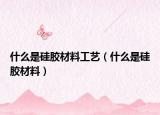 什么是硅胶材料工艺（什么是硅胶材料）