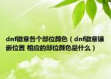 dnf徽章各个部位颜色（dnf徽章镶嵌位置 相应的部位颜色是什么）