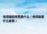 老顽童的意思是什么（老顽童是什么意思）