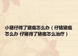 小猪仔得了猪瘟怎么办（仔猪猪瘟怎么办 仔猪得了猪瘟怎么治疗）