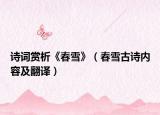诗词赏析《春雪》（春雪古诗内容及翻译）