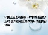 和田玉里面有棉絮一样的东西是好玉吗 答案在这里具体情况详细内容介绍