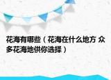 花海有哪些（花海在什么地方 众多花海地供你选择）