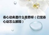 春心动矣是什么意思呀（已觉春心动怎么解释）