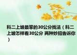 科二上坡最笨的30公分找法（科二上坡怎样看30公分 两种妙招告诉你）