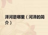 泽河是哪里（河泽的简介）