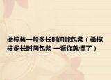 橄榄核一般多长时间能包浆（橄榄核多长时间包浆 一看你就懂了）