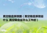 真空吸盘原理图（真空吸盘原理是什么 真空吸盘是怎么工作的）