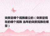 突厥是哪个民族建立的（突厥是现在的哪个民族 当年的突厥民族在哪里）