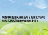 东南风转西北风好钓鱼吗（刮东北风好钓鱼吗 东北风鱼满篓西南风鱼上浮）