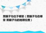 黑瞎子岛位于哪里（黑瞎子岛在哪里 黑瞎子岛的地理位置）