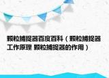 颗粒捕捉器百度百科（颗粒捕捉器工作原理 颗粒捕捉器的作用）